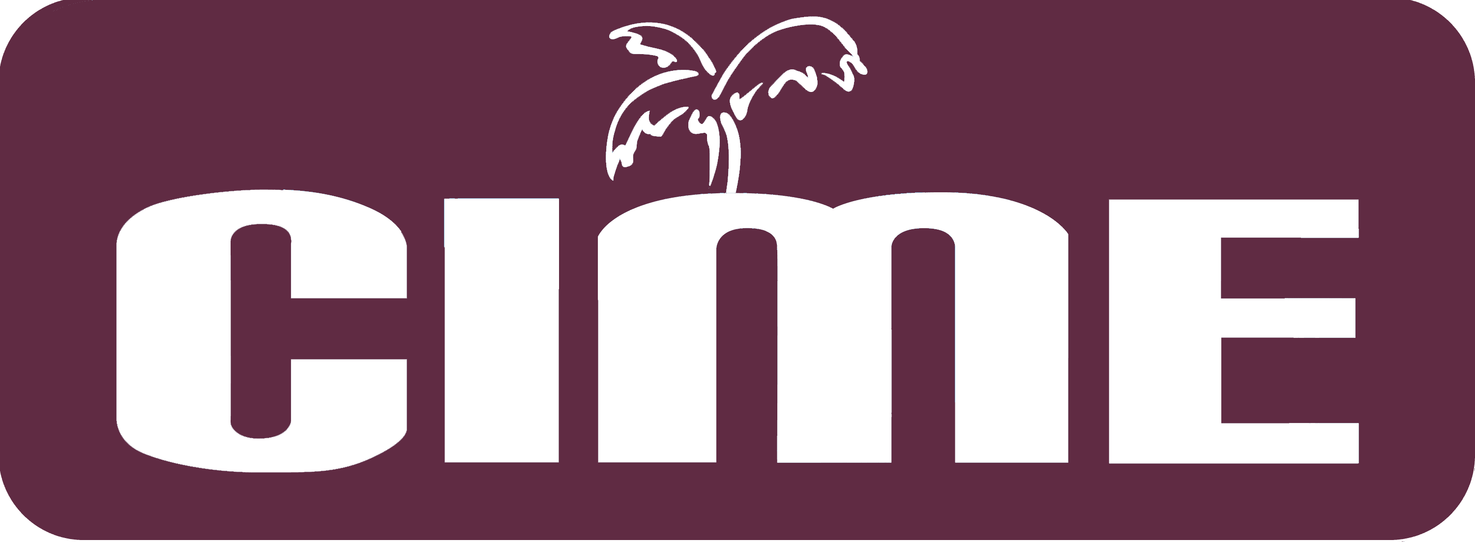 CIME logo